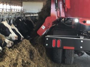 Dumping Feed