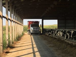 Custom Meyer Feed Mixer Truck Feeding Cattle
